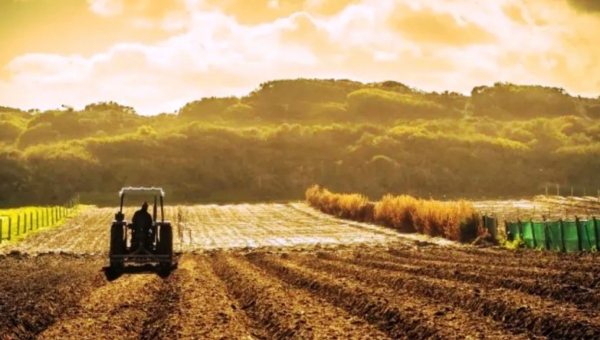 Τι αλλάζει το 2026 με τις δηλώσεις ΟΣΔΕ σε φυτικό-ζωικό, τους ελέγχους κλπ